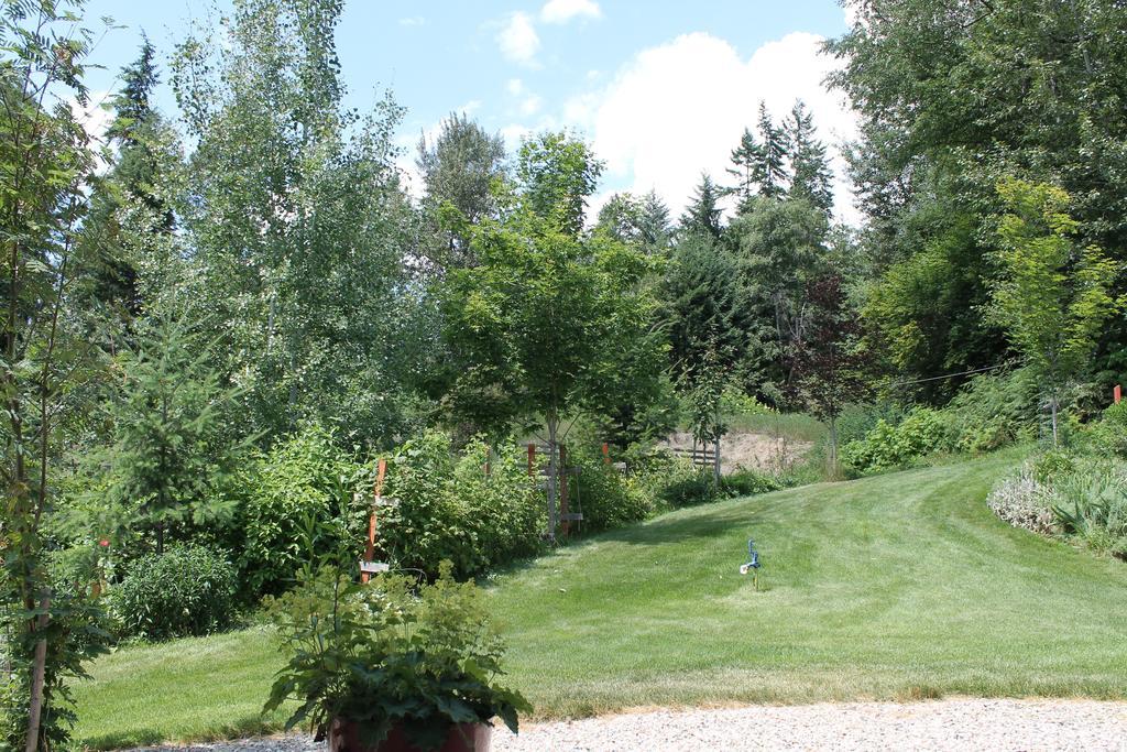 Windborne Bed & Breakfast Castlegar Buitenkant foto